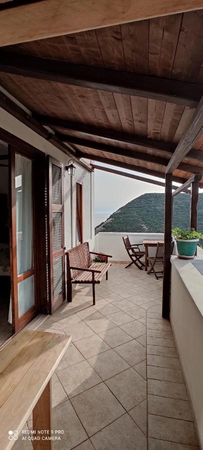 Il Cigno Ponza
