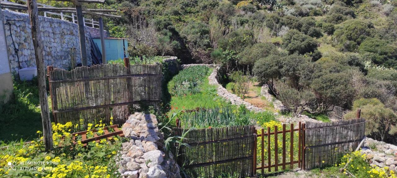 Il Cigno Bed & Breakfast Ponza