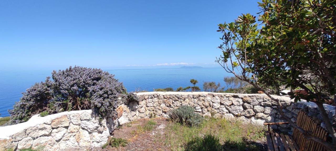 Il Cigno Bed & Breakfast Ponza