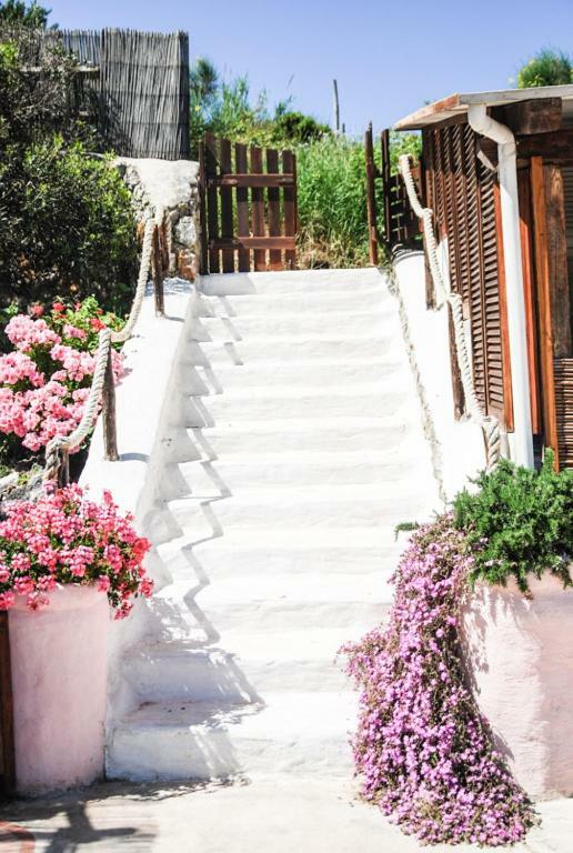 Bed & Breakfast Il Cigno *
