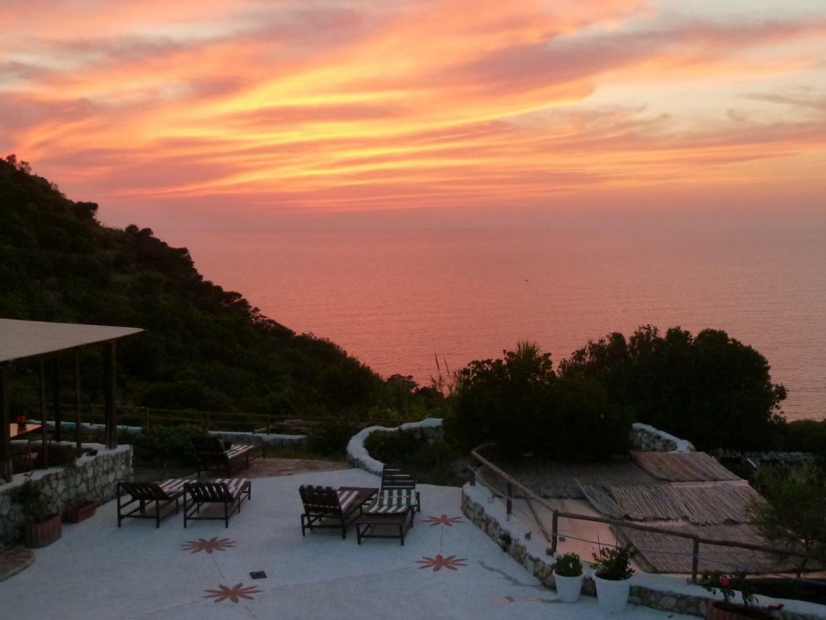 Bed & Breakfast Il Cigno Ponza