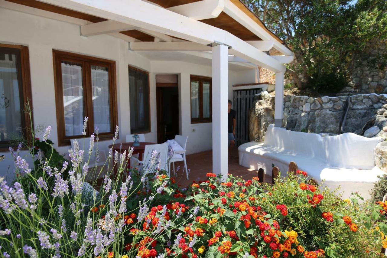 Il Cigno Bed & Breakfast Ponza