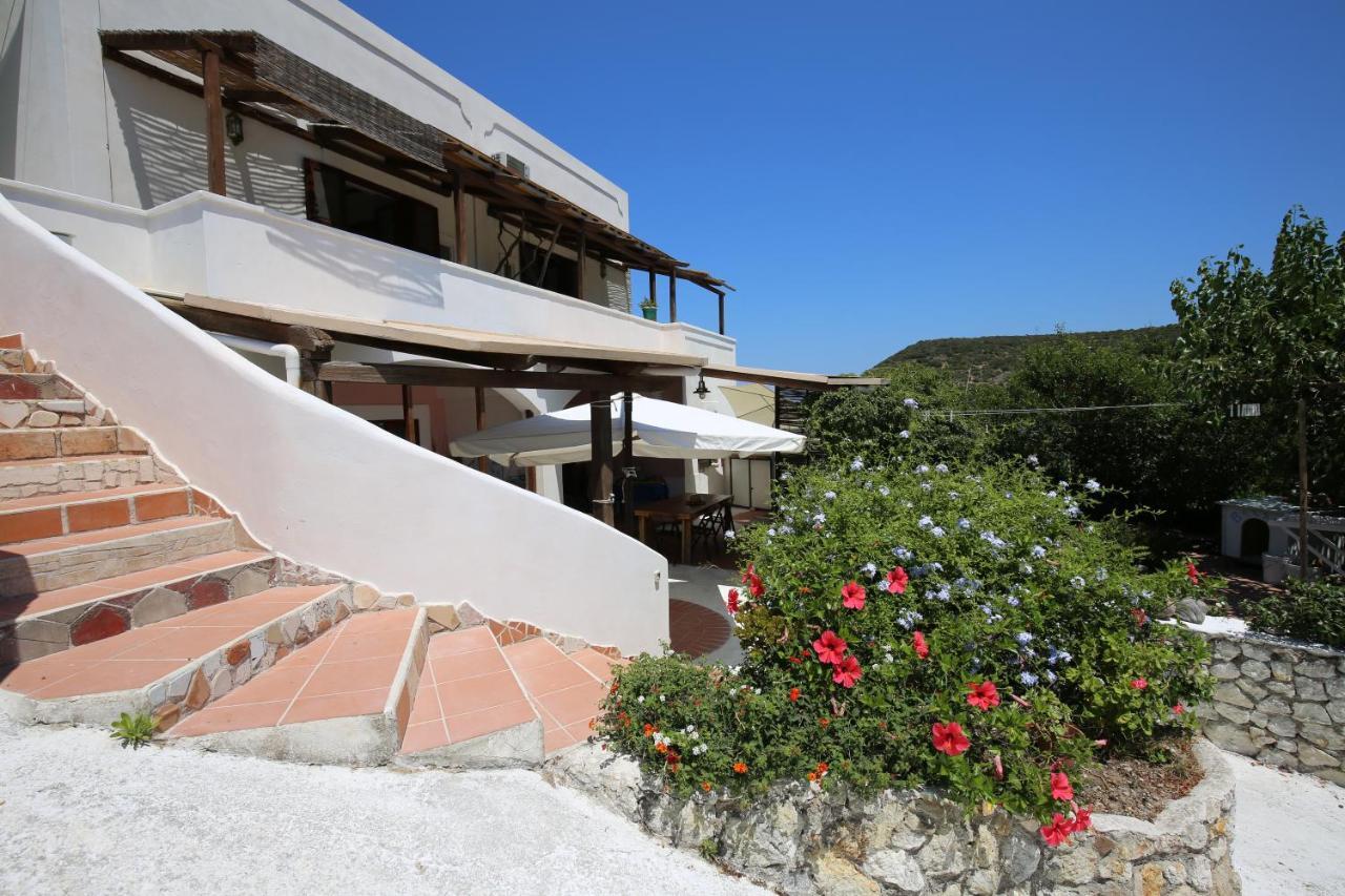 Il Cigno * Ponza